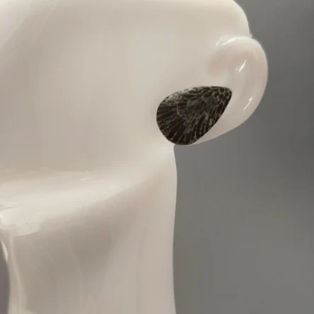 Корл 1